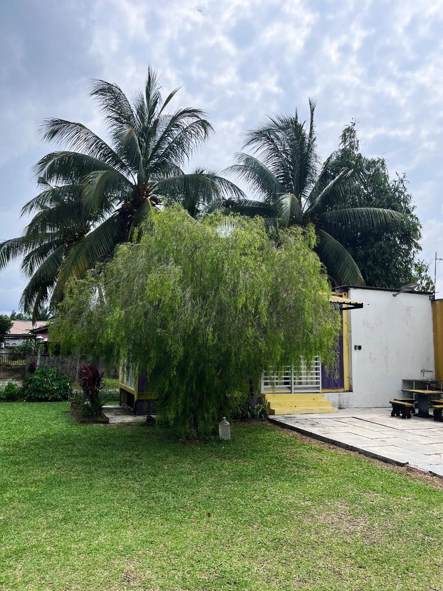 Purple Cube At Lumut Cube Homestay Kontena Exterior foto
