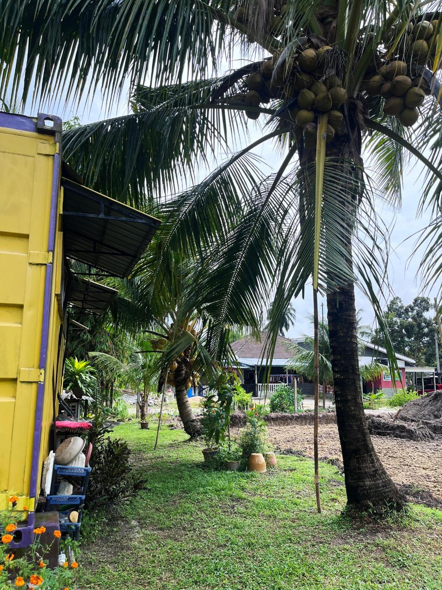 Purple Cube At Lumut Cube Homestay Kontena Exterior foto